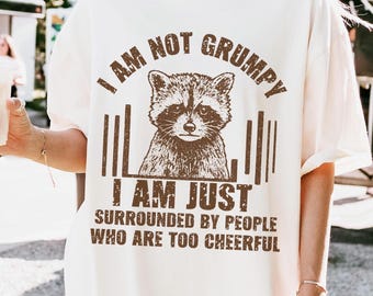 reizbares Waschbär reizendes Hemd Grunge Kleidung Weinlese ästhetische übergroße t-Shirt Waschbärliebhaber Geschenk alte Kleidung