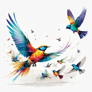 10 JPGs de alta qualidade, clipart colorido de pássaros voando, pássaros voando, clipart aquarela, clipart para impressão, ilustração de pássaros, download digital