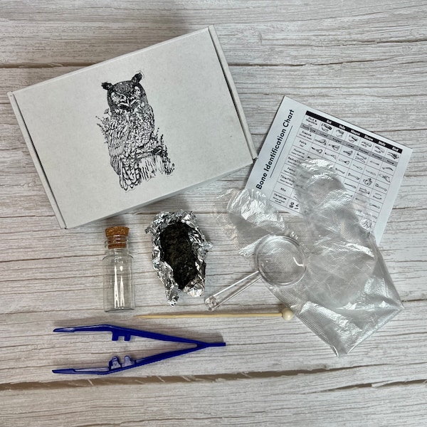 Owl Pellet Dissection Kit // Great Horned Owl Pellets // Select Pellet Size and Quantity in Your Dissection Kit // Free Shipping