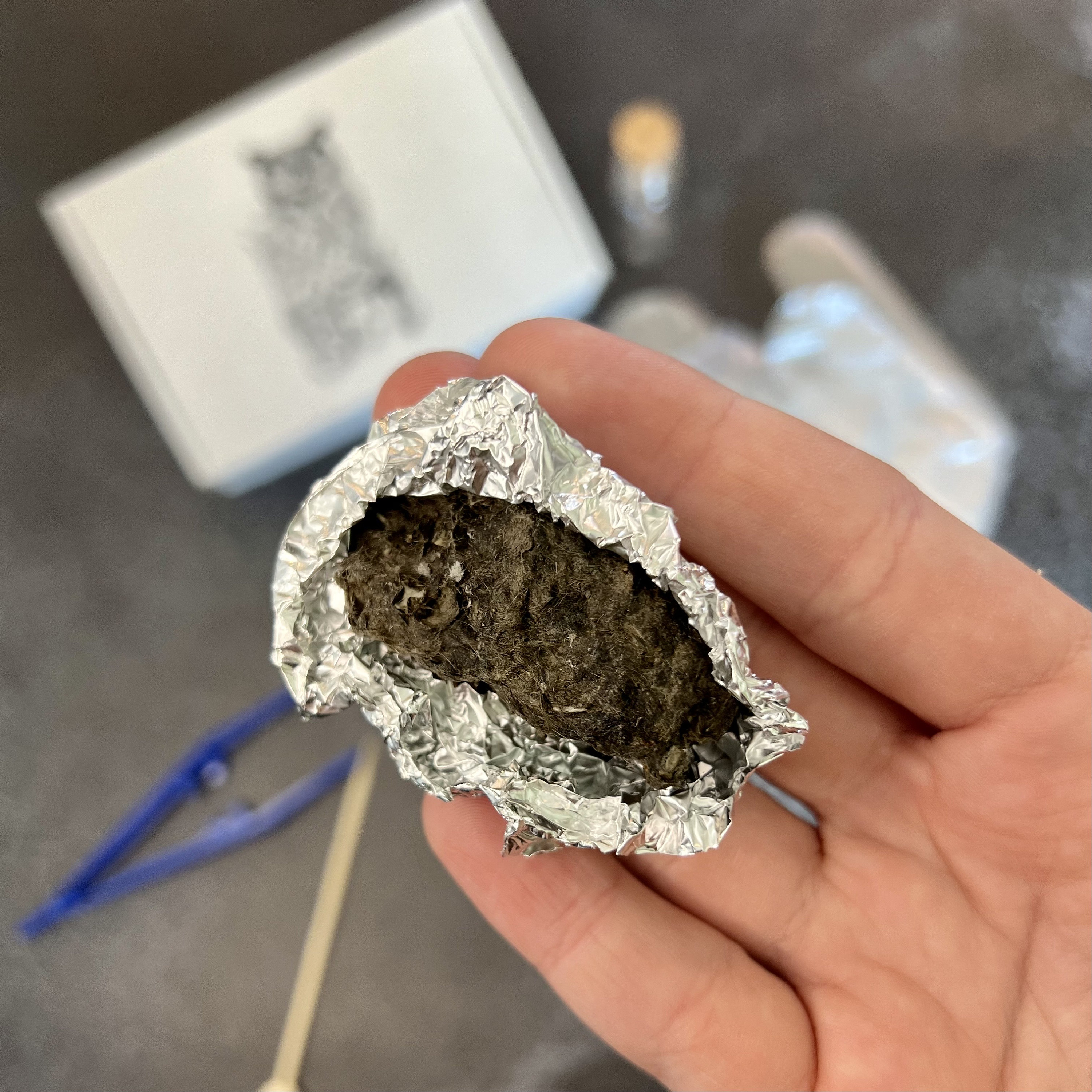 Owl Pellets Dissection Kit // Free Shipping // Real Owl Pellets for