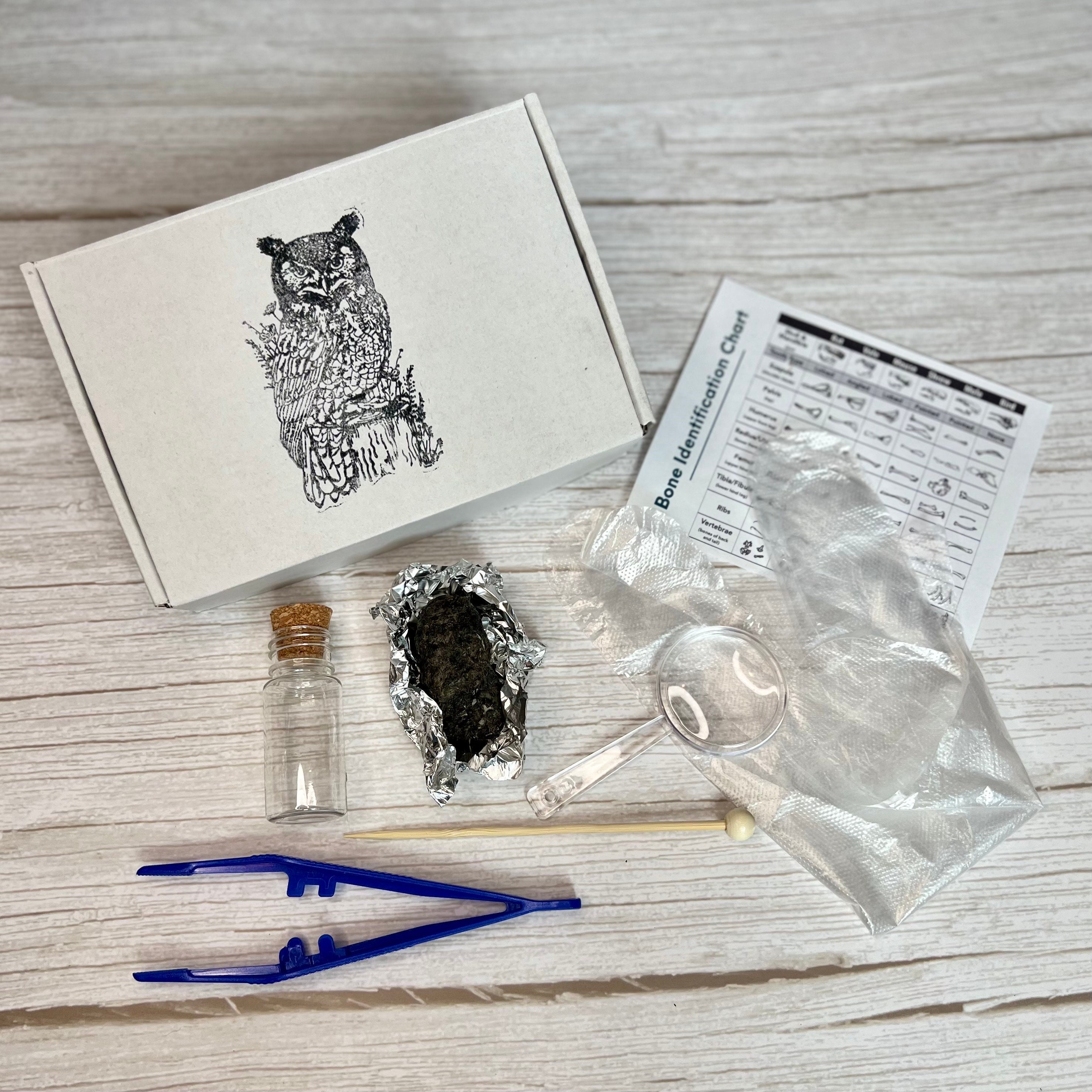 thumbnail image 2 of Pioneer Owl Pellets Large Barn Owl Pellets (Pack Of 15 2 of 9