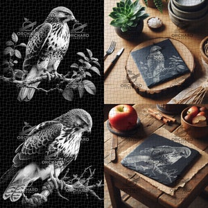 8 x png-afbeeldingsbestand van hoge kwaliteit | Tekening | Graveren | Gereed voor laser | Digitaal ontwerpbestand | Vogels | Buizerd