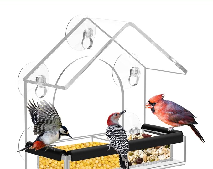 Window Bird Feeder with 5 Extra Strong Suction Cups | Durable Acrylic Bird Feeder for Viewing Wild Birds | Outdoor Feeder and Garden Decor