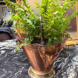 May include: A polished copper bucket with a flared rim, a circular base, and a single upright metal handle. The bucket contains a vibrant green fern plant with delicate, feathery fronds that extend outward from the top of the container.