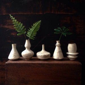 May include: Five white ceramic vases of different shapes and sizes, arranged in a row on a wooden surface. Each vase is filled with a small green plant.