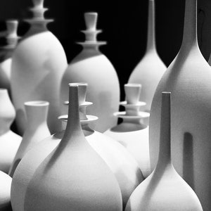 May include: A collection of white ceramic vases with various shapes and sizes. Some vases have long, slender necks, while others have bulbous bodies and decorative stoppers. The monochromatic image highlights the textures and forms of the pottery.