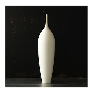 May include: A white ceramic vase with a tall, slender shape. The vase has a smooth, glossy finish and a rounded bottom.