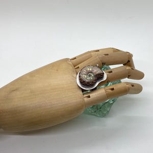 May include: A silver ring with a copper and iridescent ammonite gemstone. The ring is set on a wooden hand model.