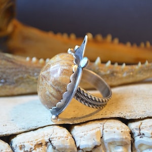 Sea Fossil Ring Made With Real Fossilized Sand Dollar