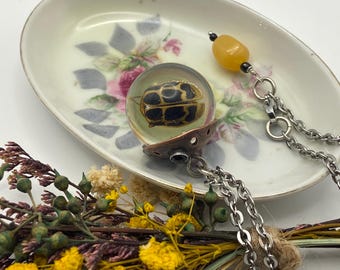 May include: A unique necklace featuring a clear orb pendant with a black and brown insect encased inside. The pendant is attached to a silver chain, with a yellow bead accent. The necklace rests on a floral patterned dish, with dried flowers in the foreground.