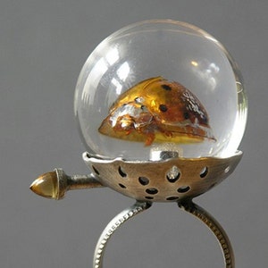 May include: A silver ring with a clear glass orb containing a gold and brown beetle. The ring has a decorative, openwork band.