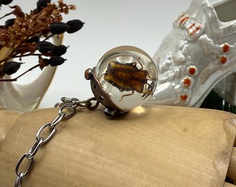 May include: A clear, round pendant with a preserved insect encased within. The pendant is attached to a silver chain. The insect is brown and yellow. The pendant is on a wooden hand.