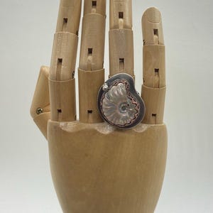May include: A silver ring with a copper accent featuring a white ammonite fossil.