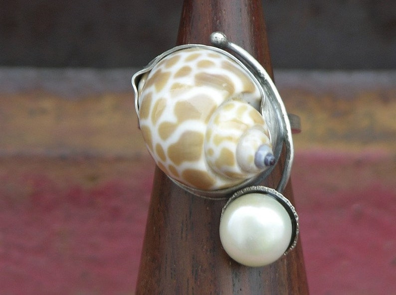 sally sold seashells by the seashore sally sold seashells by the seashore
