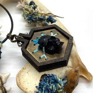 May include: A black skull pendant with blue and white embroidery, set in a hexagonal wooden frame. The pendant is attached to a black leather cord.
