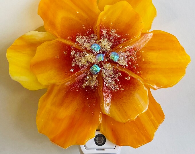 Vibrant Nocturnal Flower 2 Piece Set