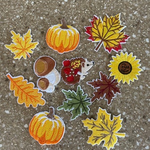 May include: A set of ten iron-on patches featuring autumnal themes. The patches include pumpkins, leaves, a hedgehog, mushrooms, and a sunflower. The patches are all in shades of yellow, orange, brown, and green.