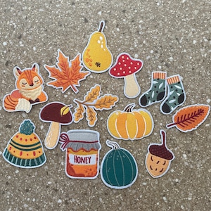 May include: A set of 12 embroidered iron-on patches featuring autumnal themes. The patches include a fox, a mushroom, a pumpkin, a pear, a jar of honey, a leaf, an acorn, a mushroom, a hat, a pair of socks, and a branch with leaves.