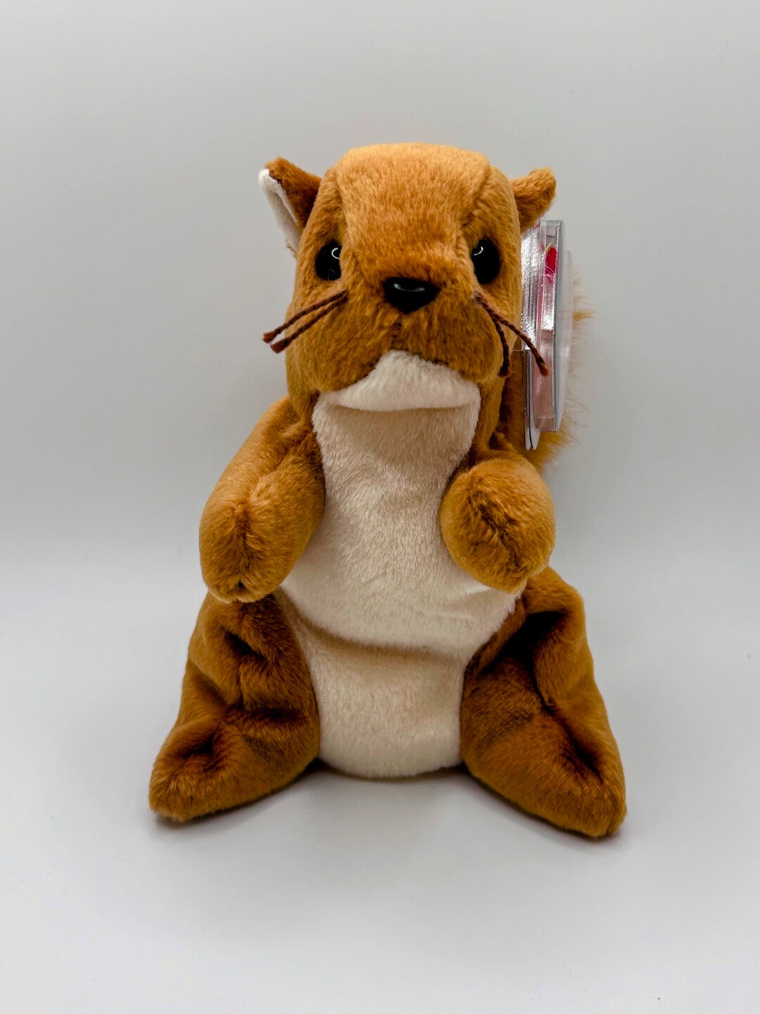 Super Rare NUTS Beanie Baby Collectible With MINI Beanie Baby Multiple