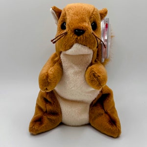 Super Rare NUTS Beanie Baby Collectible with MINI beanie baby Multiple Tag Errors, Collectible, Mint Condition