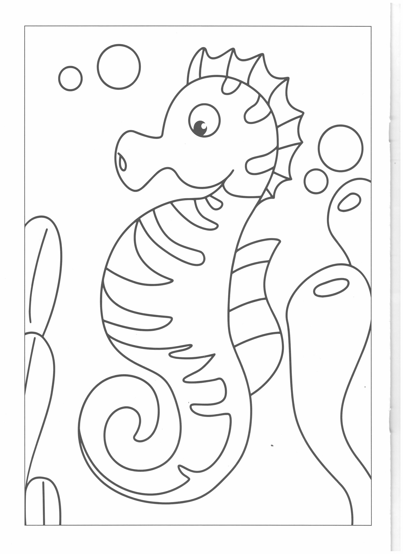 Coloring Book Pages 12 Ocean World for Kids and Instant Download PDF