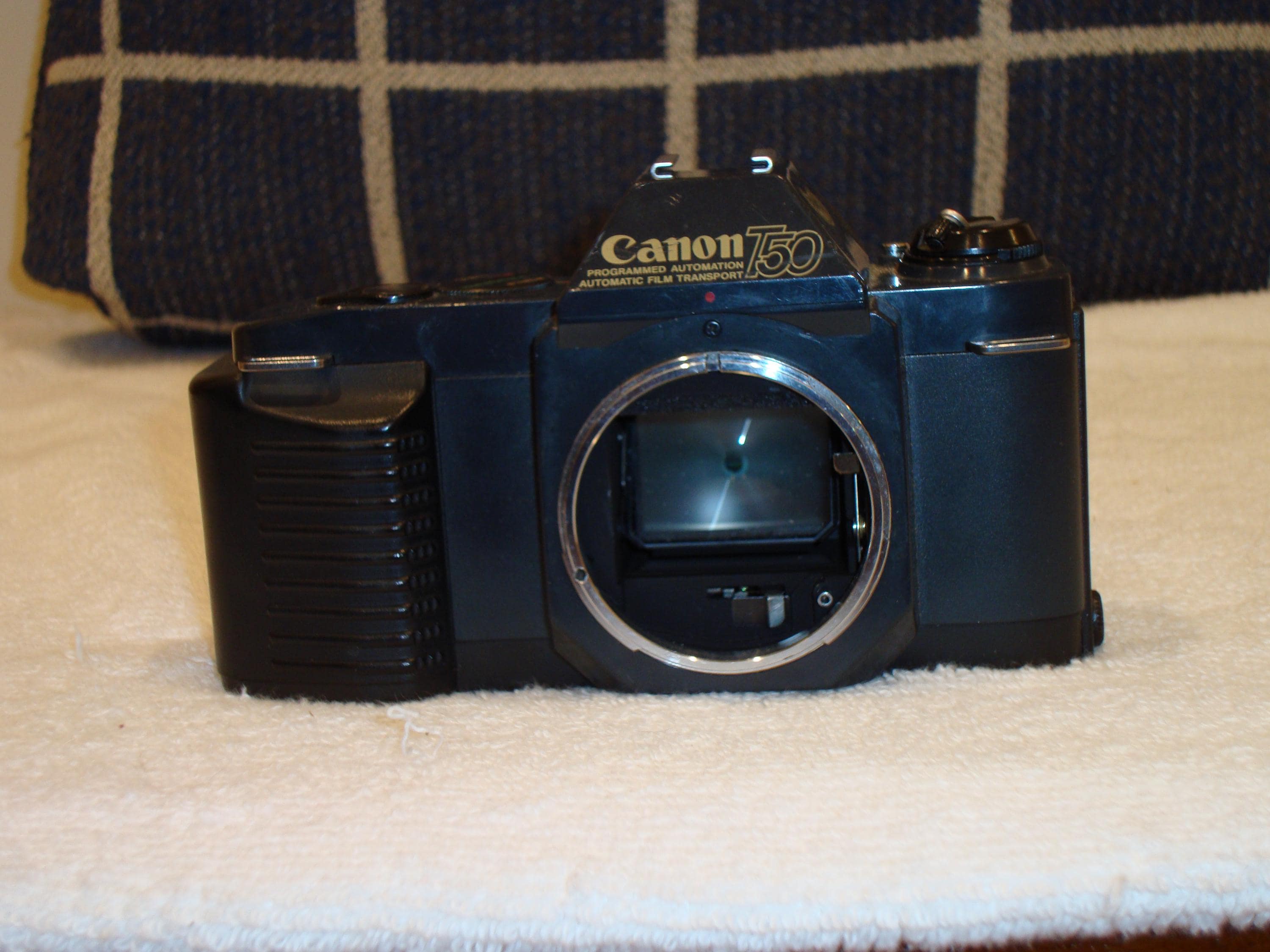 Canon t50 - Etsy 日本