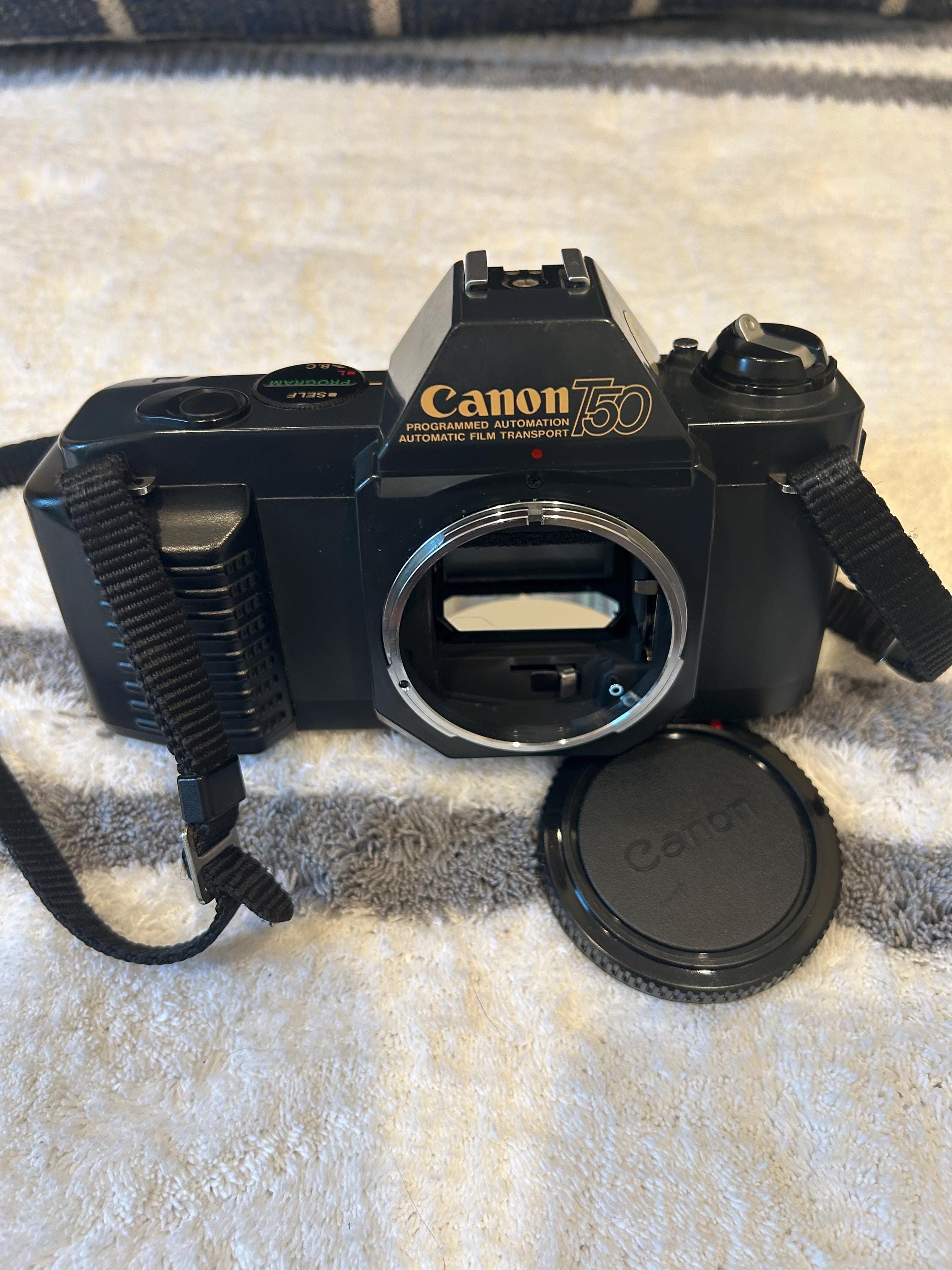 Canon T50 フィルムカメラセット Canon T50 フィルムカメラ | kaerucameraOnlineshop ｜かえる