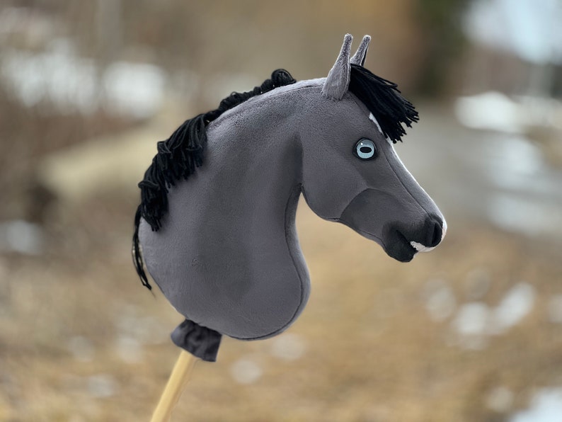 Caballo aficionado, Poni pequeño, KEMHorses imagen 3