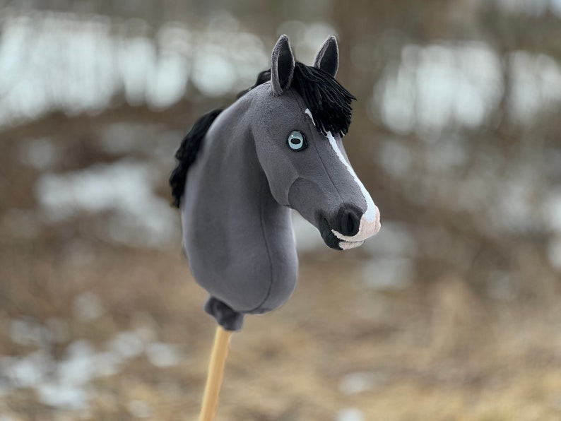 Caballo aficionado, Poni pequeño, KEMHorses imagen 2