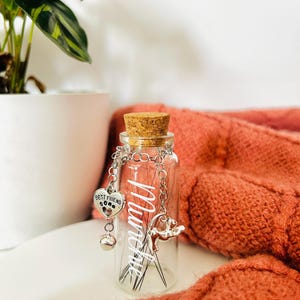 Pet Whisker/Fur Keepsake Jar