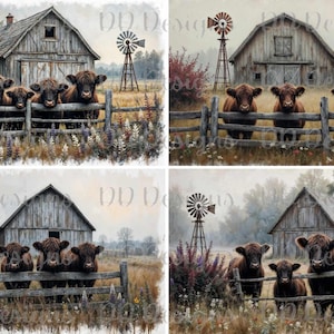 Farm Highland Cows