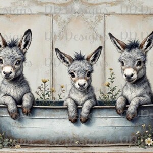 May include: Three gray baby donkeys are sitting in a blue metal tub. The donkeys are looking at the camera. The tub is surrounded by white flowers.