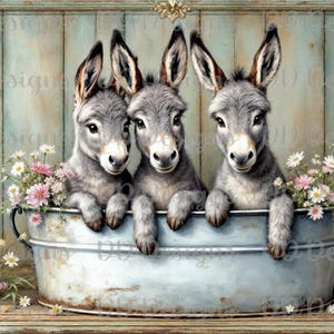 May include: Three adorable gray baby donkeys are sitting in a blue metal tub with white flowers around the rim. The donkeys are looking at the camera with their ears perked up.