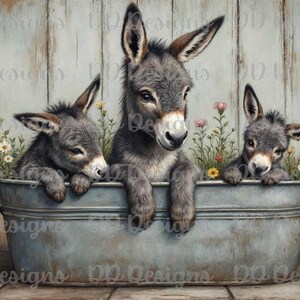 May include: Three gray donkey foals are sitting in a metal tub. The tub is filled with water and the foals are looking at the camera. There are flowers and greenery around the tub.