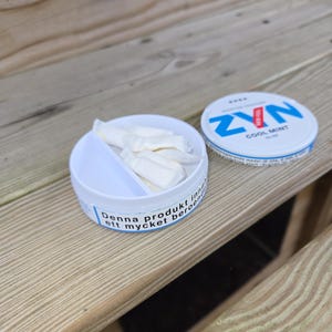 Zyn-containerinzet en compartiment voor afgedankte Zyn, 3D-geprinte PLA Zyn-opberger voor nicotinezakjes, compacte accessoires