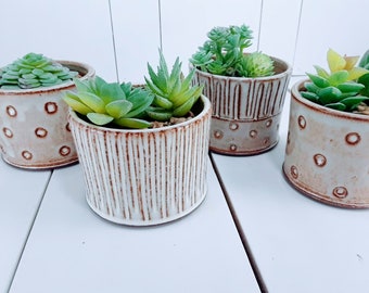 Pottery Herb Pot, Succulent planter