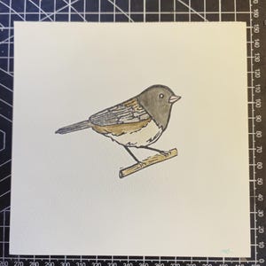 Dark-Eyed Junco print