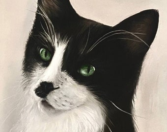 Individual cat portrait
