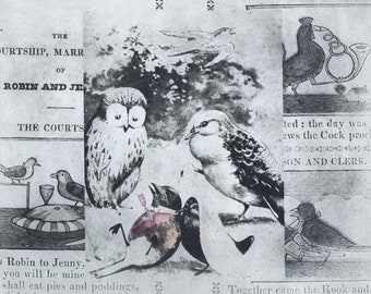 Etching Who Killed Cock Robin