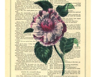 Shakespeare Large Rose Print on Antique Book Page