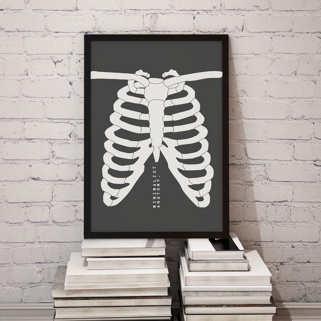 Minimalist Anatomy | Ribcage Skeleton Art | Medical Wall Decor ...