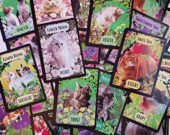 Cats in the Garden as Astrology Sun, Moon, and Rising Zodiac Signs Oracle Card Deck with 28-page PDF Guidebook