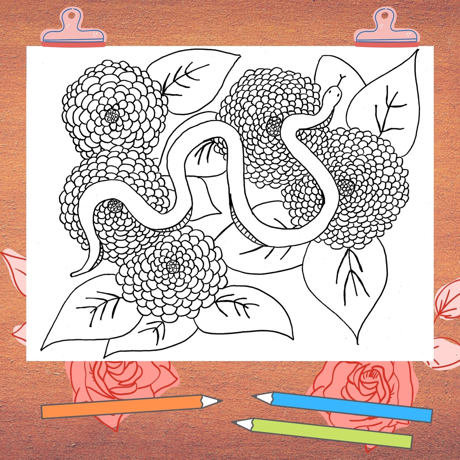 Download Bundle of 4 Coloring Pages Snakes and Flowers Beautiful | Etsy