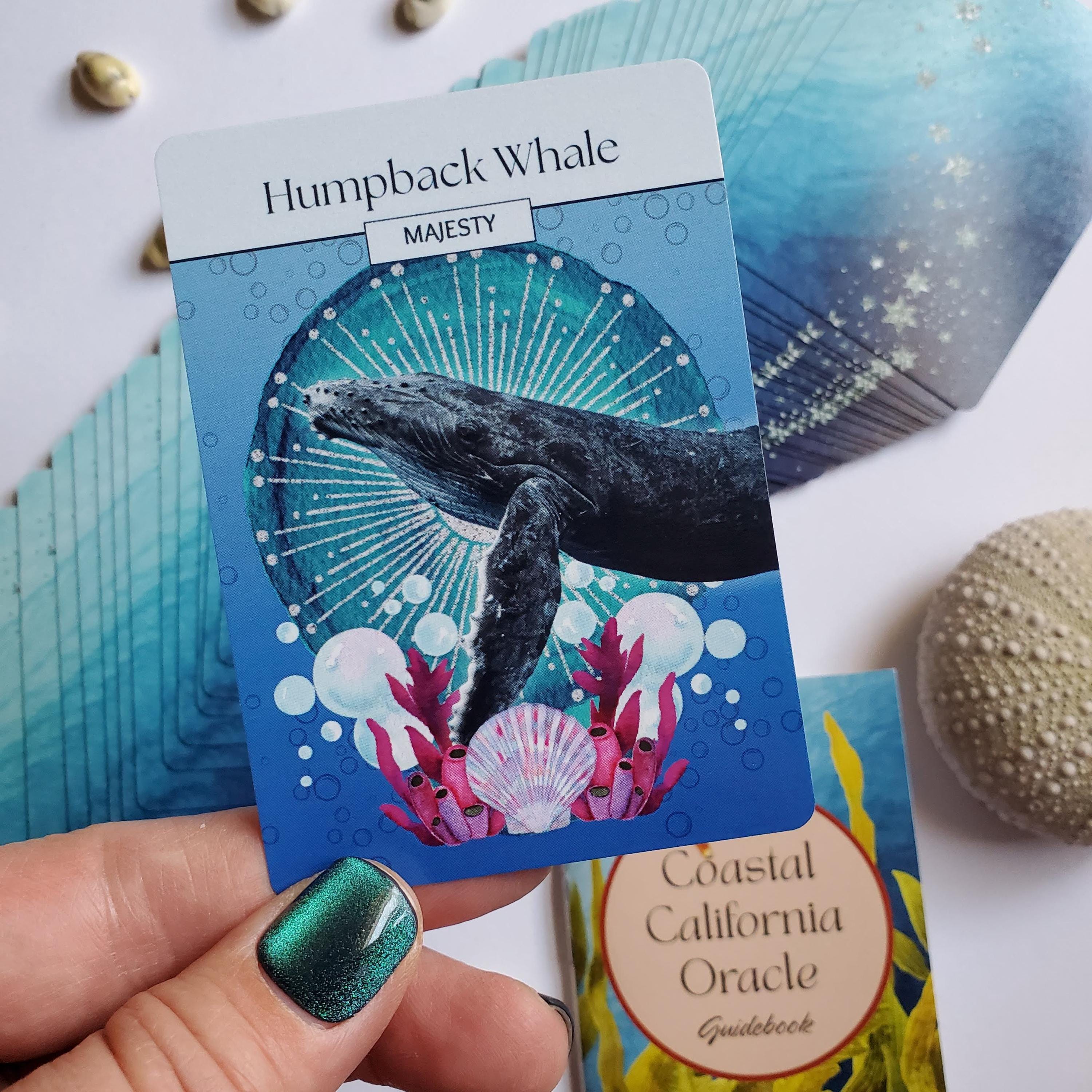 Coastal California Oracle – 54 Card Ocean & Wildlife Inspired Deck