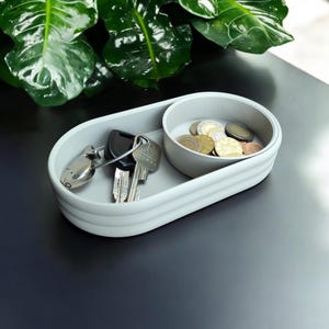May include: A light grey, two-sectioned tray with rounded edges. One section holds keys and a key ring, the other contains coins. The tray sits on a dark surface, with green leafy plants in the background.