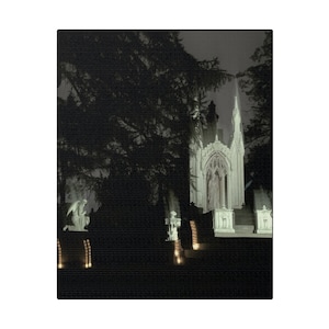 Nel velo / Stampa su tela, Fotografia, Cimitero, Macabro, Vittoriano, Notturno, Ecologico