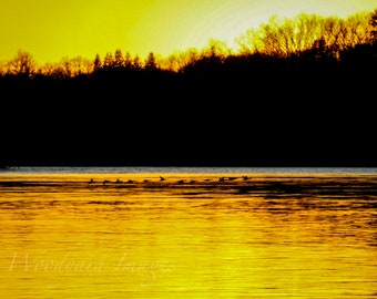 Sunset with Birds Over River Photography- Peaceful Landscape Wall Art, Nature Photo Print, Tranquil Decor