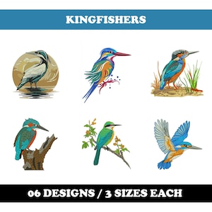 Kingfishers (6 Designs) - Machine Embroidery Bundle