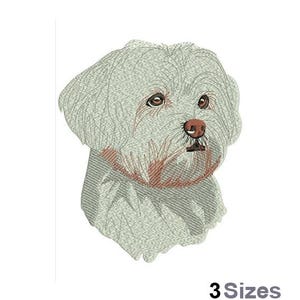 Maltese - Machine Embroidery Design - 3 Sizes