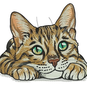 Peut inclure: Image brodée d'un visage de chat aux yeux verts vifs et au nez rose. Le pelage est brun, beige et noir. Le design est sur fond blanc. Le chat est représenté avec ses pattes. Le texte "3 Sizes" est en bas à droite.
